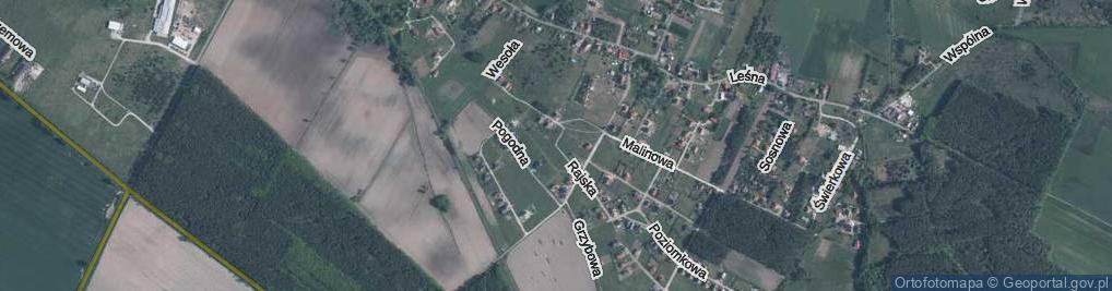 Zdjęcie satelitarne Rajska ul.